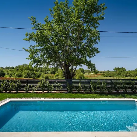 Olive * Πόρετς