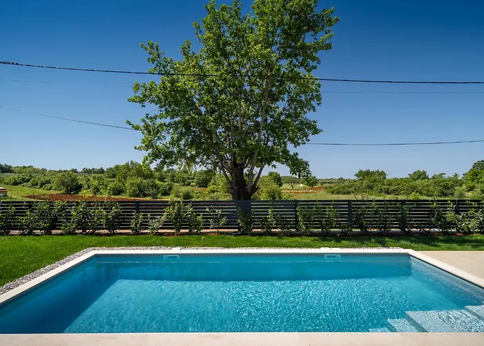 Olive * Πόρετς